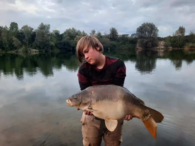 Karpfen