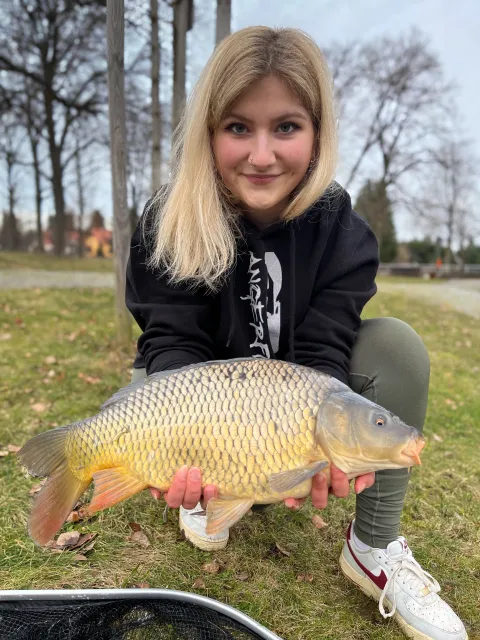Karpfen