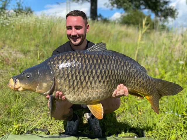 Karpfen