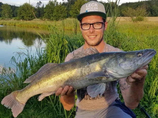 Zander