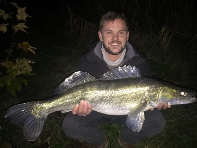 Zander