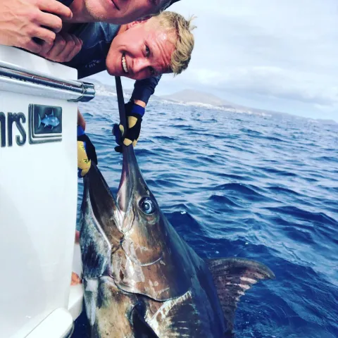 Marlin