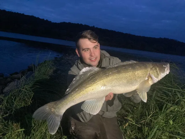 Zander
