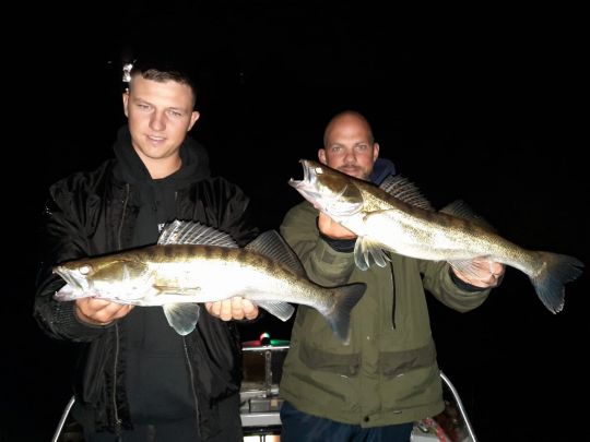 Zander