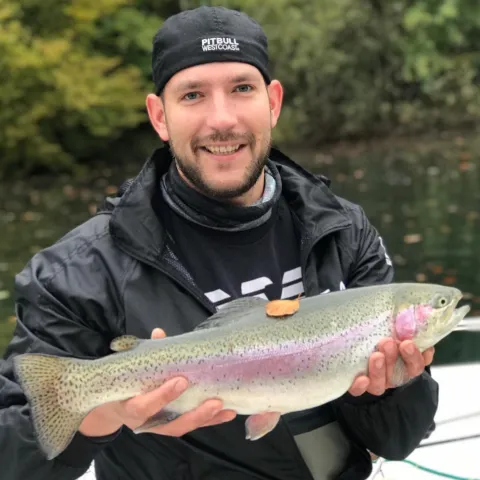 Regenbogenforelle