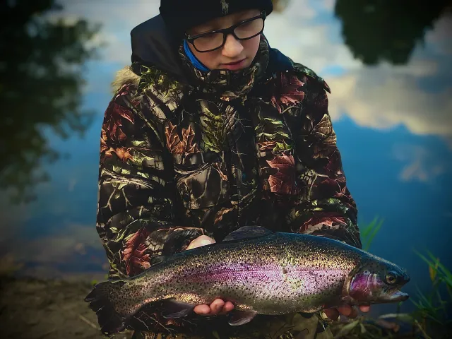 Regenbogenforelle