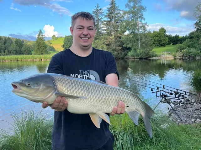 Graskarpfen