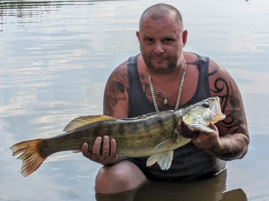 Zander