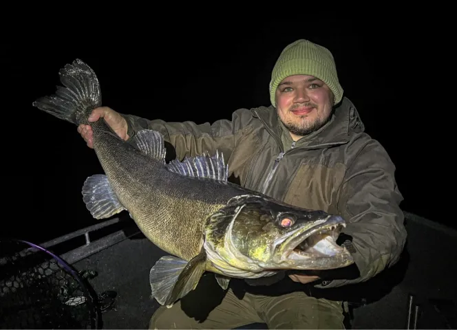 Zander