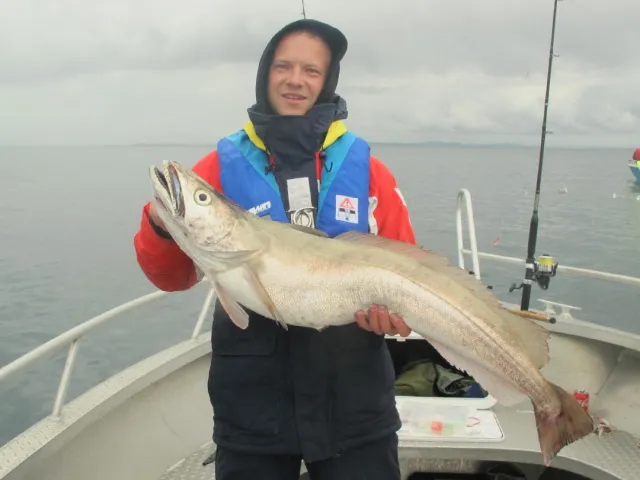 Seehecht