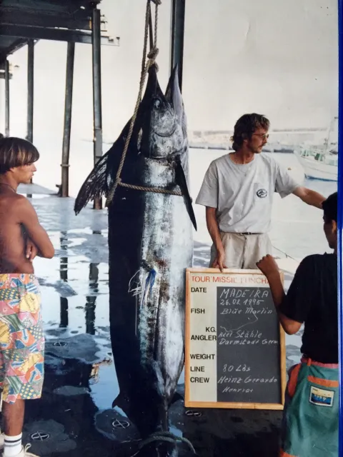Marlin