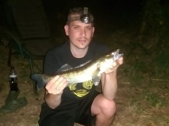 Zander