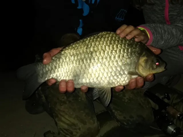 Giebel