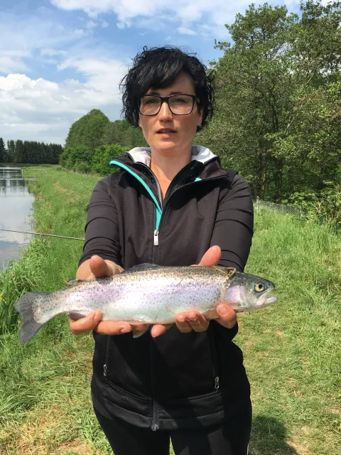 Regenbogenforelle