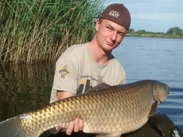 Graskarpfen