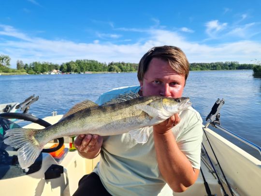 Zander
