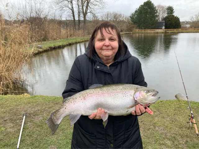 Regenbogenforelle