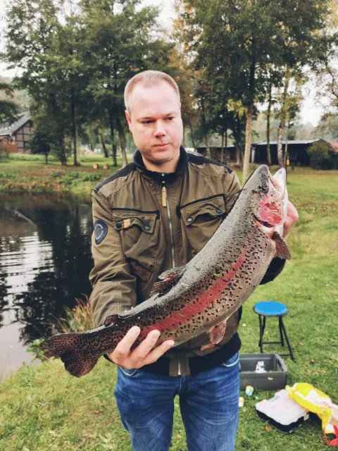 Regenbogenforelle