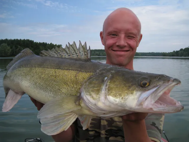 Zander