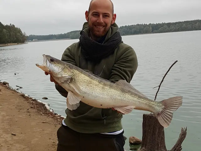 Zander