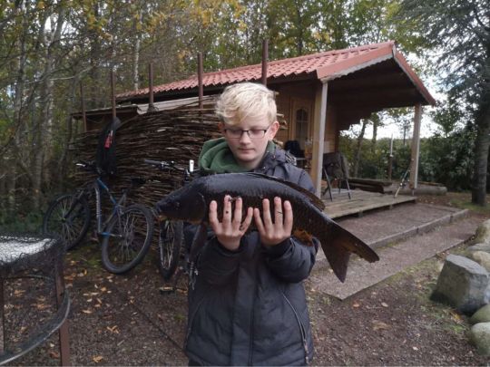 Karpfen