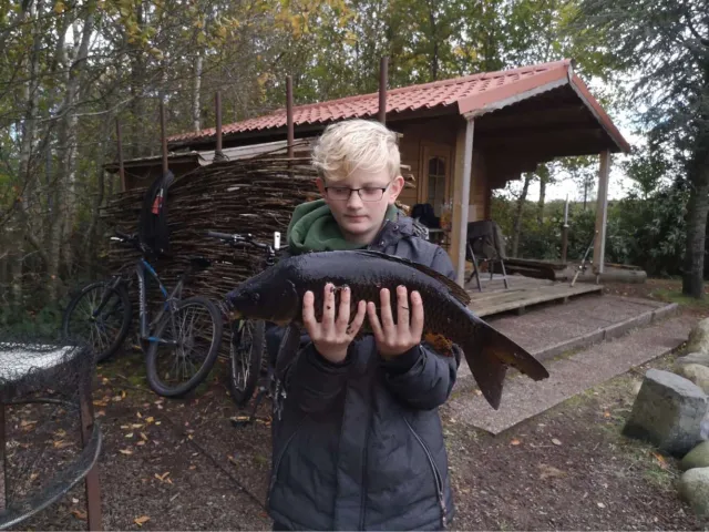 Karpfen