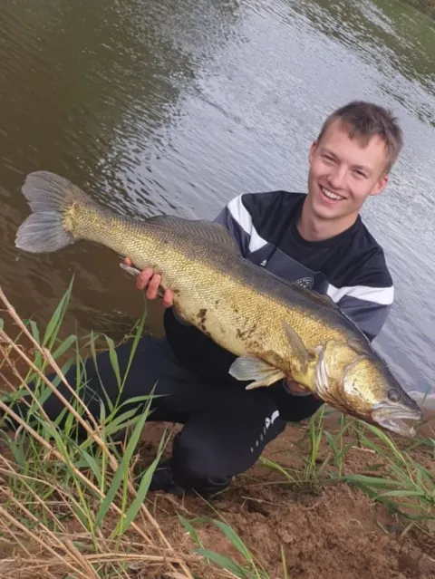 Zander