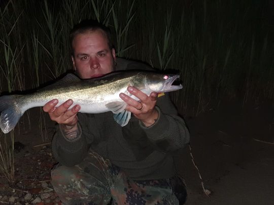 Zander