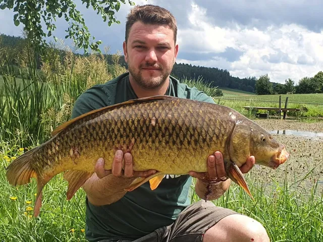 Karpfen