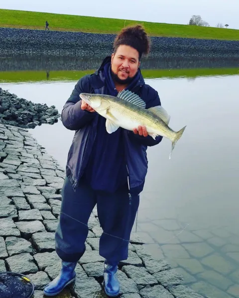 Zander