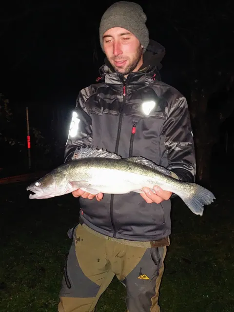 Zander