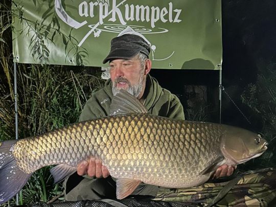 Graskarpfen
