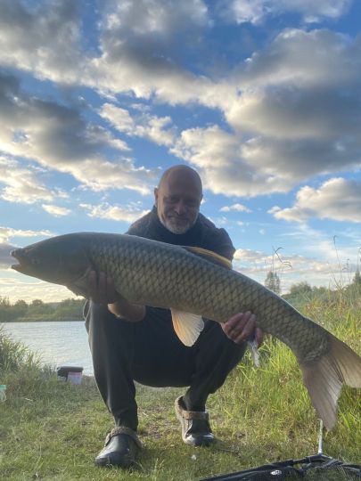 Graskarpfen