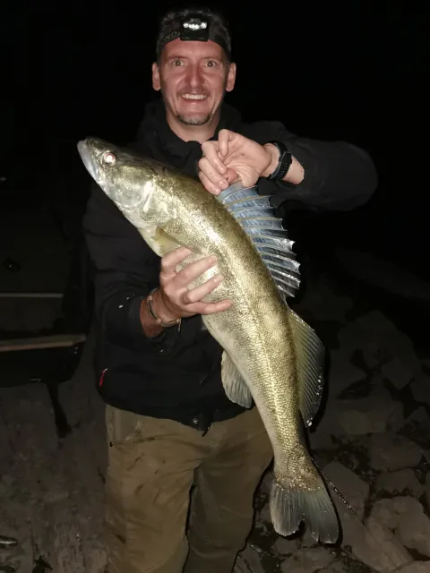 Zander