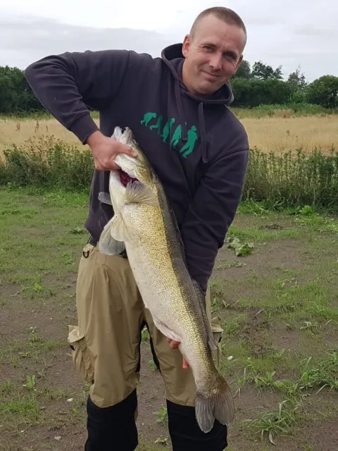 Zander