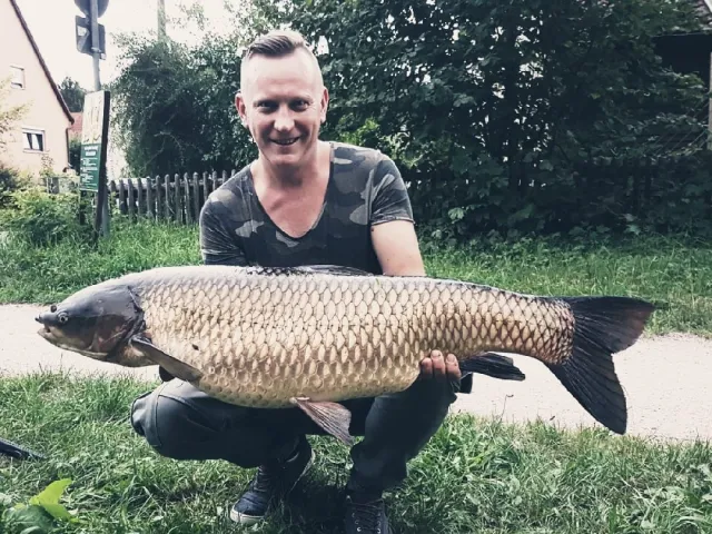 Graskarpfen