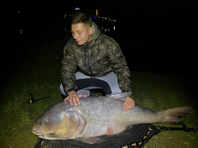 Marmorkarpfen
