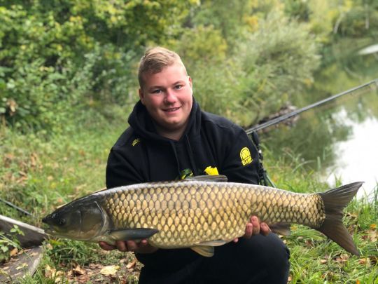 Graskarpfen