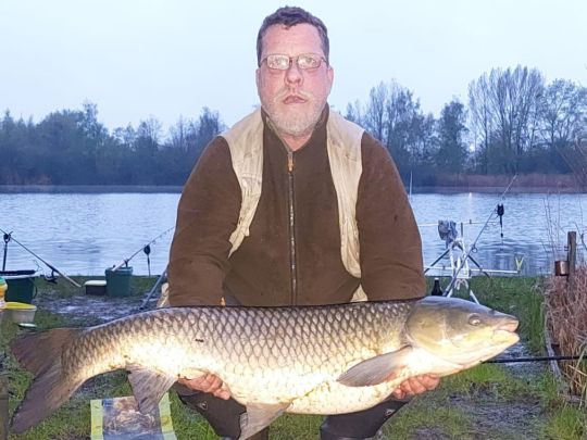 Graskarpfen
