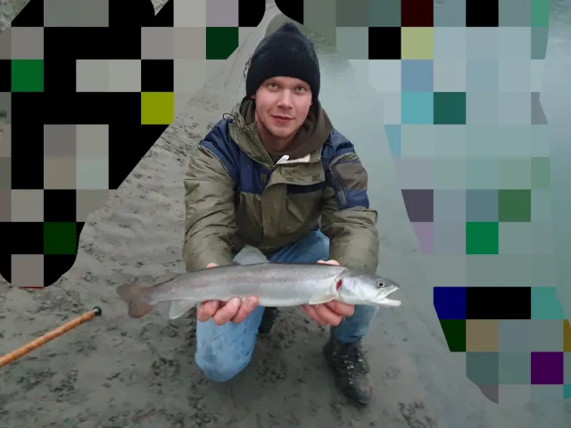 Huchen