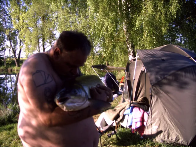 Graskarpfen