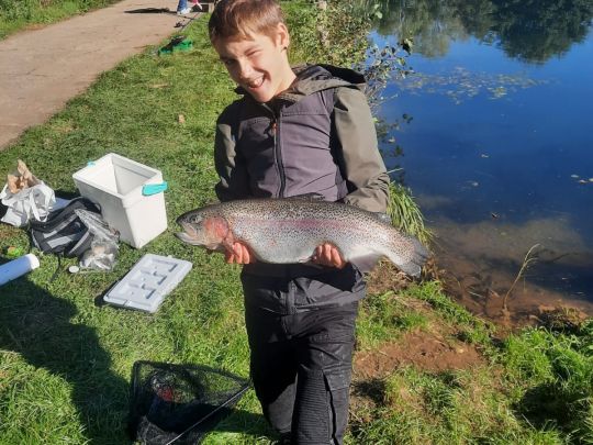 Regenbogenforelle