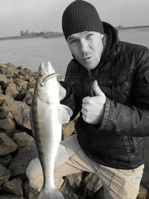 Zander