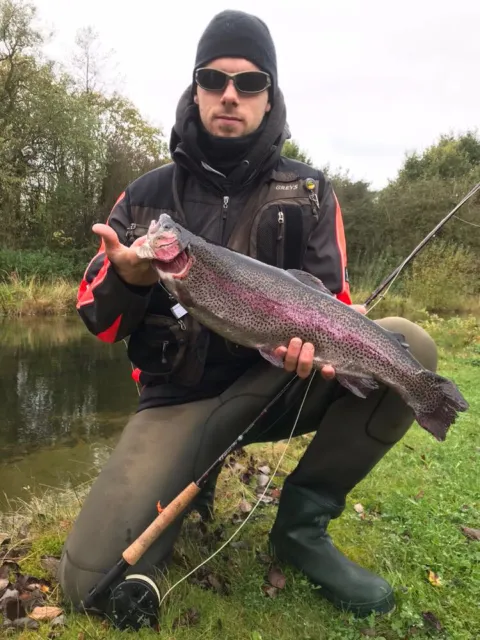 Regenbogenforelle