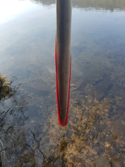 Aal