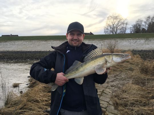 Zander