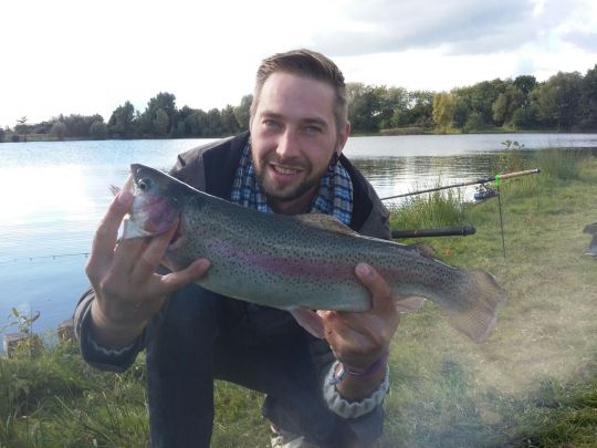 Regenbogenforelle