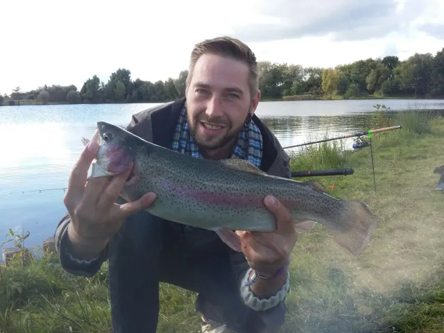 Regenbogenforelle