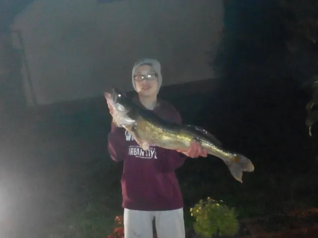 Zander