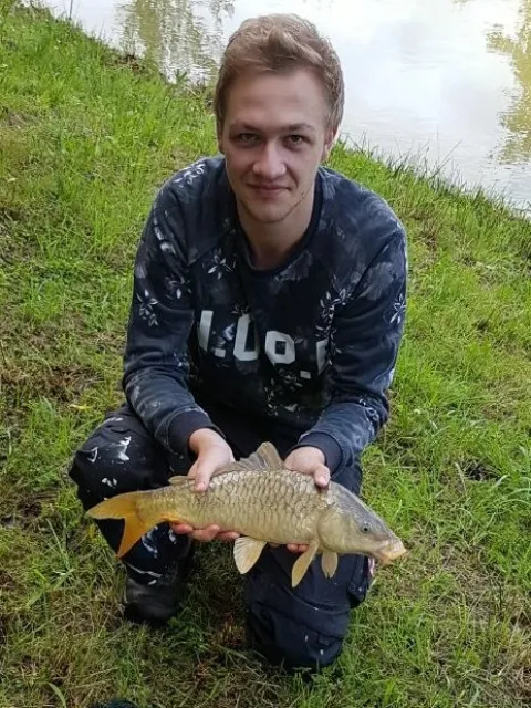 Karpfen